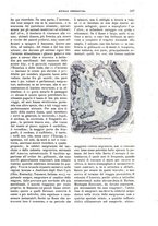 giornale/TO00189526/1896-1897/unico/00000661