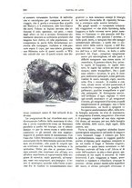 giornale/TO00189526/1896-1897/unico/00000662