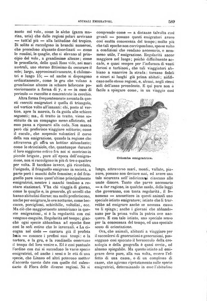 Natura ed arte rivista illustrata quindicinale italiana e straniera di scienze, lettere ed arti