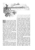 giornale/TO00189526/1896-1897/unico/00000797