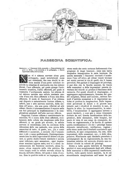 Natura ed arte rivista illustrata quindicinale italiana e straniera di scienze, lettere ed arti