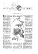 giornale/TO00189526/1896-1897/unico/00000981