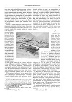 giornale/TO00189526/1896/unico/00000059