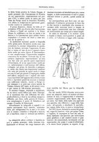 giornale/TO00189526/1896/unico/00000143