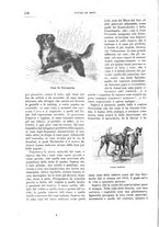 giornale/TO00189526/1896/unico/00000154