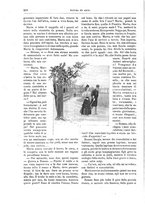 giornale/TO00189526/1896/unico/00000314