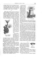 giornale/TO00189526/1896/unico/00000473