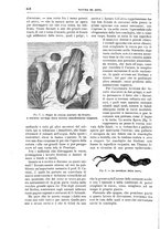 giornale/TO00189526/1896/unico/00000474