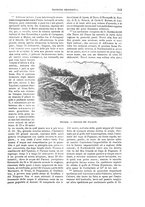 giornale/TO00189526/1896/unico/00000583