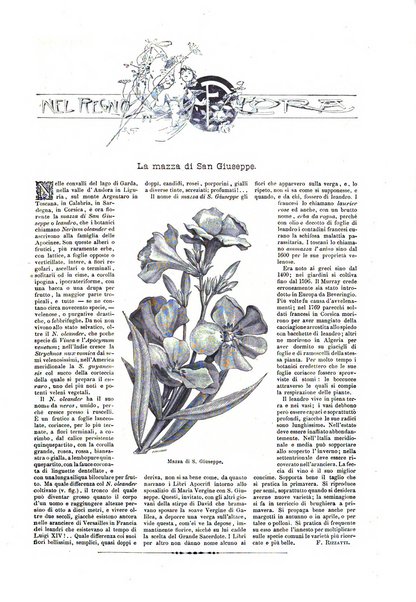 Natura ed arte rivista illustrata quindicinale italiana e straniera di scienze, lettere ed arti