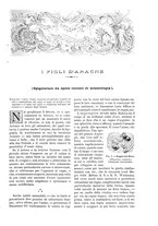 giornale/TO00189526/1896/unico/00000749