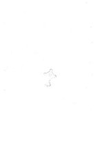 giornale/TO00189526/1896/unico/00000801