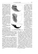 giornale/TO00189526/1896/unico/00000871