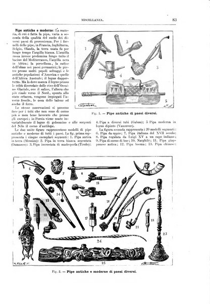 Natura ed arte rivista illustrata quindicinale italiana e straniera di scienze, lettere ed arti