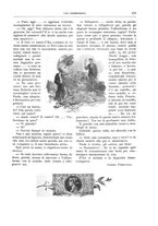 giornale/TO00189526/1897-1898/unico/00000263