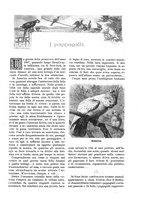giornale/TO00189526/1897-1898/unico/00000501