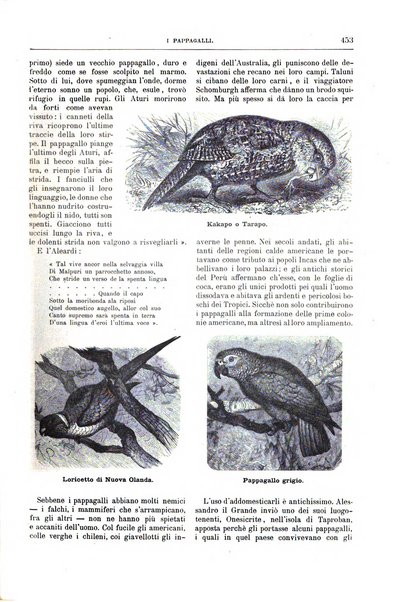 Natura ed arte rivista illustrata quindicinale italiana e straniera di scienze, lettere ed arti