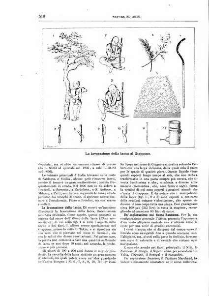 Natura ed arte rivista illustrata quindicinale italiana e straniera di scienze, lettere ed arti