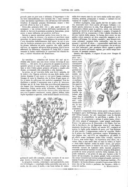 Natura ed arte rivista illustrata quindicinale italiana e straniera di scienze, lettere ed arti