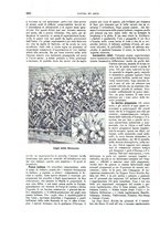 giornale/TO00189526/1897-1898/unico/00000946