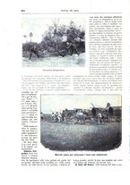 giornale/TO00189526/1897-1898/unico/00000948