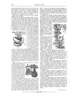 giornale/TO00189526/1897-1898/unico/00000958