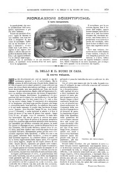 Natura ed arte rivista illustrata quindicinale italiana e straniera di scienze, lettere ed arti