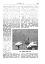 giornale/TO00189526/1897-1898/unico/00000987