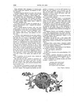 giornale/TO00189526/1897-1898/unico/00001142