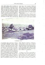 giornale/TO00189526/1897/unico/00000031