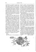 giornale/TO00189526/1897/unico/00000038