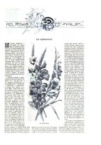 giornale/TO00189526/1897/unico/00000205