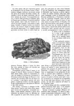 giornale/TO00189526/1897/unico/00000242