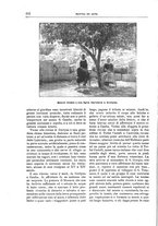 giornale/TO00189526/1897/unico/00000250