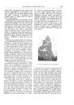 giornale/TO00189526/1898-1899/unico/00000055