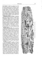 giornale/TO00189526/1898-1899/unico/00000093