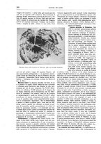giornale/TO00189526/1898-1899/unico/00000186