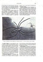 giornale/TO00189526/1898-1899/unico/00000191