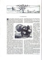 giornale/TO00189526/1898-1899/unico/00000198