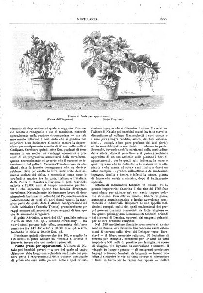 Natura ed arte rivista illustrata quindicinale italiana e straniera di scienze, lettere ed arti