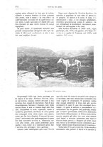 giornale/TO00189526/1898-1899/unico/00000310