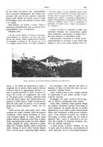 giornale/TO00189526/1898-1899/unico/00000341