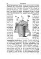 giornale/TO00189526/1898-1899/unico/00000472