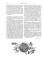 giornale/TO00189526/1898-1899/unico/00000484