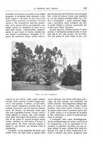 giornale/TO00189526/1898-1899/unico/00000517