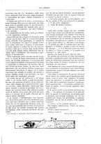 giornale/TO00189526/1898-1899/unico/00000655