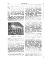 giornale/TO00189526/1898-1899/unico/00000692