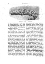 giornale/TO00189526/1898-1899/unico/00000756