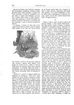 giornale/TO00189526/1898-1899/unico/00000818