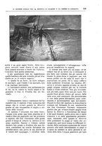 giornale/TO00189526/1898-1899/unico/00000877